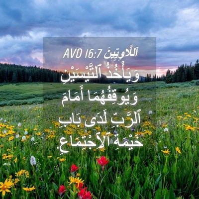 Picture 04 - اَللَّاوِيِّينَ 16:7 AVD - وَيَأْخُذُ ٱلتَّيْسَيْنِ - Bible Verse Picture
