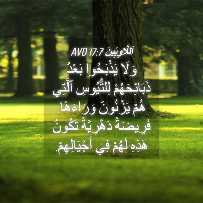 Picture 04 - اَللَّاوِيِّينَ 17:7 AVD - وَلَا يَذْبَحُوا بَعْدُ - Bible Verse Picture