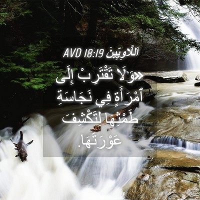Picture 04 - اَللَّاوِيِّينَ 18:19 AVD - «وَلَا تَقْتَرِبْ إِلَى - Bible Verse Picture