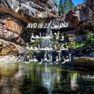 Picture 04 - اَللَّاوِيِّينَ 18:22 AVD - وَلَا تُضَاجِعْ ذَكَرًا - Bible Verse Picture