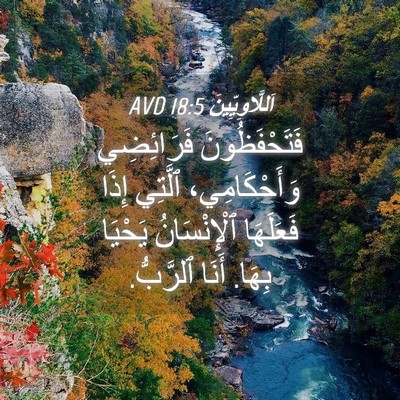 Picture 04 - اَللَّاوِيِّينَ 18:5 AVD - فَتَحْفَظُونَ فَرَائِضِي - Bible Verse Picture