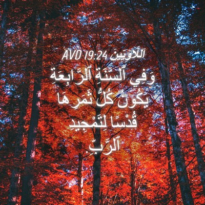 Picture 04 - اَللَّاوِيِّينَ 19:24 AVD - وَفِي ٱلسَّنَةِ - Bible Verse Picture