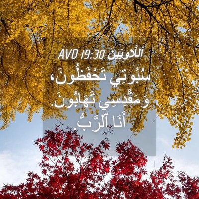 Picture 04 - اَللَّاوِيِّينَ 19:30 AVD - سُبُوتِي تَحْفَظُونَ، - Bible Verse Picture