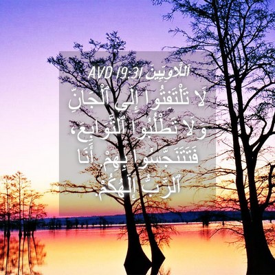 Picture 04 - اَللَّاوِيِّينَ 19:31 AVD - لَا تَلْتَفِتُوا إِلَى - Bible Verse Picture