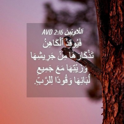 Picture 04 - اَللَّاوِيِّينَ 2:16 AVD - فَيُوقِدُ ٱلْكَاهِنُ - Bible Verse Picture