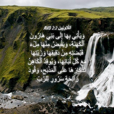 Picture 04 - اَللَّاوِيِّينَ 2:2 AVD - وَيَأْتِي بِهَا إِلَى - Bible Verse Picture