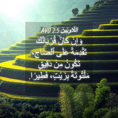 Picture 04 - اَللَّاوِيِّينَ 2:5 AVD - وَإِنْ كَانَ قُرْبَانُكَ - Bible Verse Picture