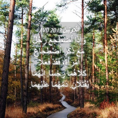 Picture 04 - اَللَّاوِيِّينَ 20:13 AVD - وَإِذَا ٱضْطَجَعَ رَجُلٌ - Bible Verse Picture