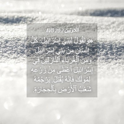 Picture 04 - اَللَّاوِيِّينَ 20:2 AVD - «وَتَقُولُ لِبَنِي - Bible Verse Picture