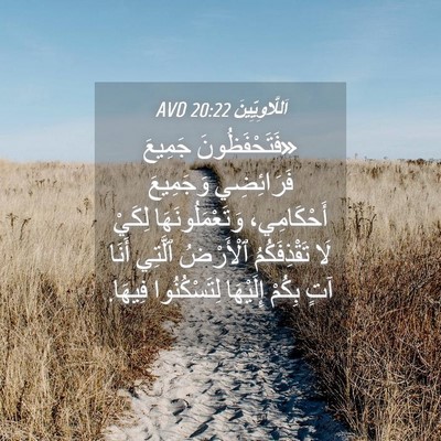Picture 04 - اَللَّاوِيِّينَ 20:22 AVD - «فَتَحْفَظُونَ جَمِيعَ - Bible Verse Picture