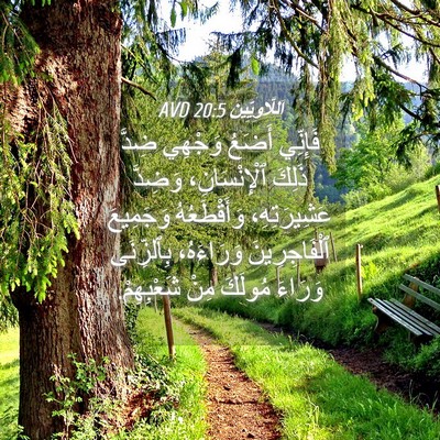 Picture 04 - اَللَّاوِيِّينَ 20:5 AVD - فَإِنِّي أَضَعُ وَجْهِي - Bible Verse Picture