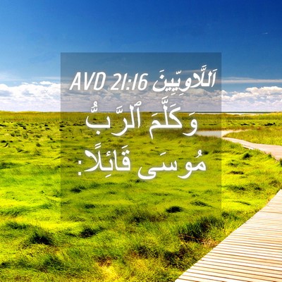 Picture 04 - اَللَّاوِيِّينَ 21:16 AVD - وَكَلَّمَ ٱلرَّبُّ مُوسَى - Bible Verse Picture