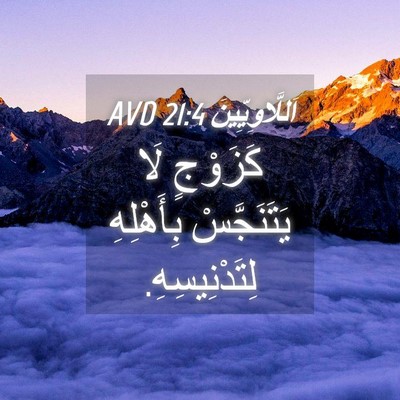 Picture 04 - اَللَّاوِيِّينَ 21:4 AVD - كَزَوْجٍ لَا يَتَنَجَّسْ - Bible Verse Picture