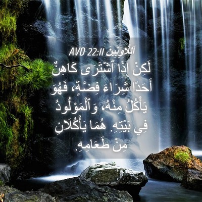 Picture 04 - اَللَّاوِيِّينَ 22:11 AVD - لَكِنْ إِذَا ٱشْتَرَى - Bible Verse Picture