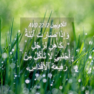Picture 04 - اَللَّاوِيِّينَ 22:12 AVD - وَإِذَا صَارَتِ ٱبْنَةُ - Bible Verse Picture