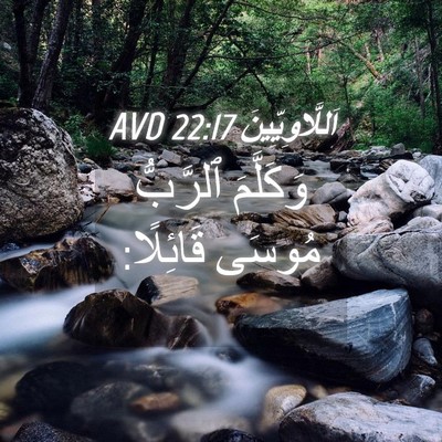 Picture 04 - اَللَّاوِيِّينَ 22:17 AVD - وَكَلَّمَ ٱلرَّبُّ مُوسَى - Bible Verse Picture