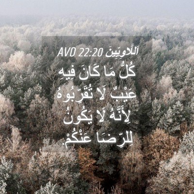Picture 04 - اَللَّاوِيِّينَ 22:20 AVD - كُلُّ مَا كَانَ فِيهِ - Bible Verse Picture