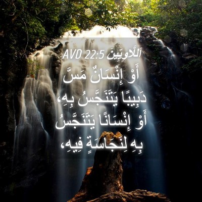 Picture 04 - اَللَّاوِيِّينَ 22:5 AVD - أَوْ إِنْسَانٌ مَسَّ - Bible Verse Picture