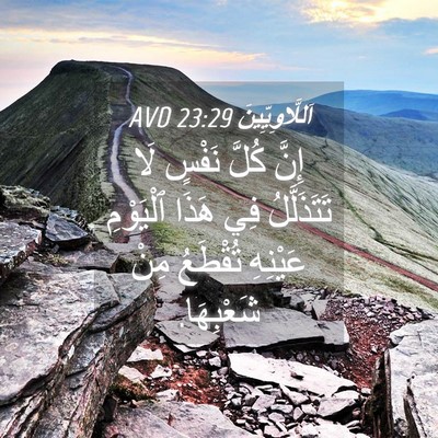 Picture 04 - اَللَّاوِيِّينَ 23:29 AVD - إِنَّ كُلَّ نَفْسٍ لَا - Bible Verse Picture