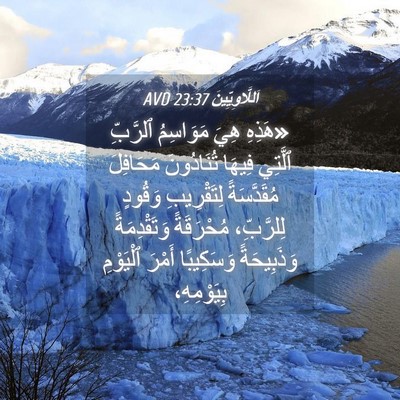 Picture 04 - اَللَّاوِيِّينَ 23:37 AVD - «هَذِهِ هِيَ مَوَاسِمُ - Bible Verse Picture