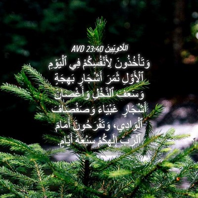 Picture 04 - اَللَّاوِيِّينَ 23:40 AVD - وَتَأْخُذُونَ - Bible Verse Picture