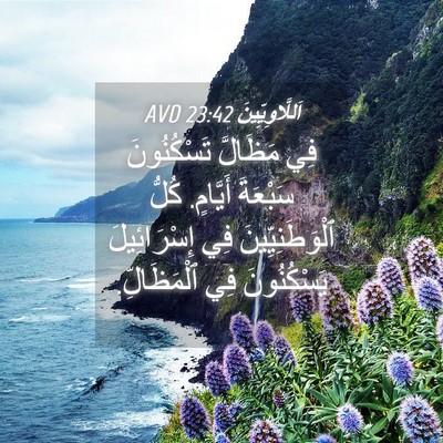 Picture 04 - اَللَّاوِيِّينَ 23:42 AVD - فِي مَظَالَّ تَسْكُنُونَ - Bible Verse Picture