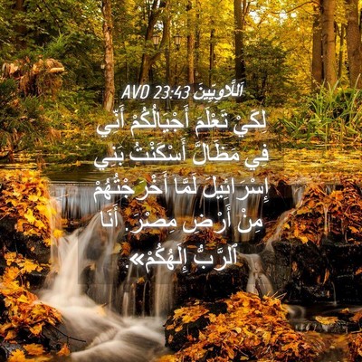 Picture 04 - اَللَّاوِيِّينَ 23:43 AVD - لِكَيْ تَعْلَمَ - Bible Verse Picture