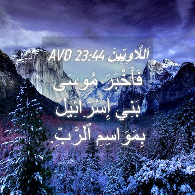 Picture 04 - اَللَّاوِيِّينَ 23:44 AVD - فَأَخْبَرَ مُوسَى بَنِي - Bible Verse Picture