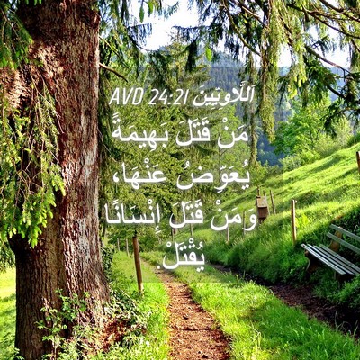 Picture 04 - اَللَّاوِيِّينَ 24:21 AVD - مَنْ قَتَلَ بَهِيمَةً - Bible Verse Picture