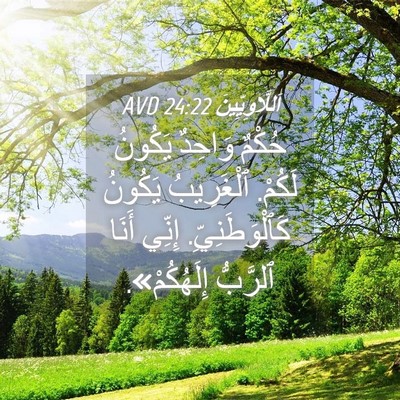 Picture 04 - اَللَّاوِيِّينَ 24:22 AVD - حُكْمٌ وَاحِدٌ يَكُونُ - Bible Verse Picture