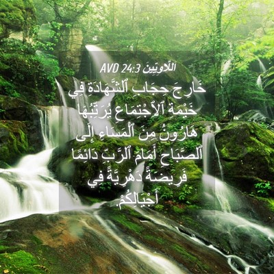 Picture 04 - اَللَّاوِيِّينَ 24:3 AVD - خَارِجَ حِجَابِ - Bible Verse Picture