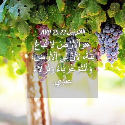 Picture 04 - اَللَّاوِيِّينَ 25:23 AVD - «وَٱلْأَرْضُ لَا تُبَاعُ - Bible Verse Picture