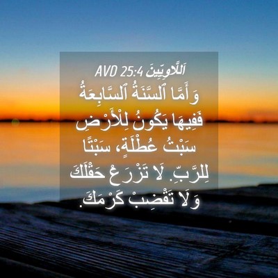 Picture 04 - اَللَّاوِيِّينَ 25:4 AVD - وَأَمَّا ٱلسَّنَةُ - Bible Verse Picture