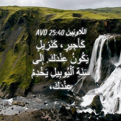 Picture 04 - اَللَّاوِيِّينَ 25:40 AVD - كَأَجِيرٍ، كَنَزِيلٍ - Bible Verse Picture