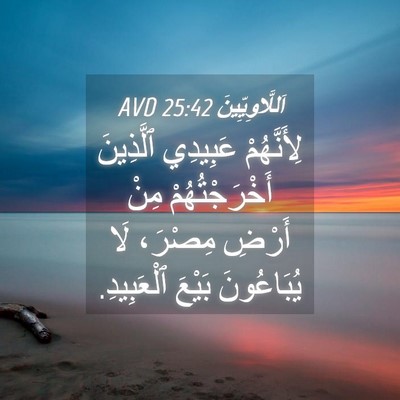 Picture 04 - اَللَّاوِيِّينَ 25:42 AVD - لِأَنَّهُمْ عَبِيدِي - Bible Verse Picture