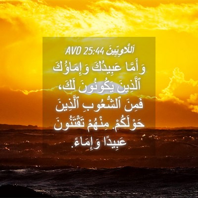 Picture 04 - اَللَّاوِيِّينَ 25:44 AVD - وَأَمَّا عَبِيدُكَ - Bible Verse Picture