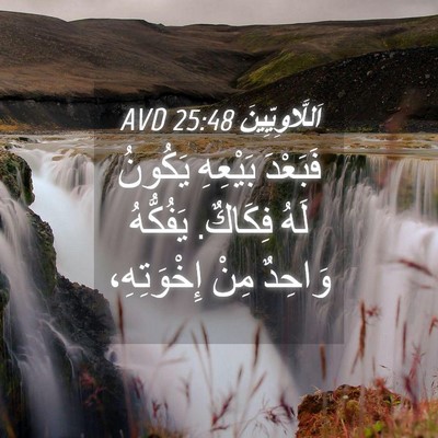 Picture 04 - اَللَّاوِيِّينَ 25:48 AVD - فَبَعْدَ بَيْعِهِ يَكُونُ - Bible Verse Picture