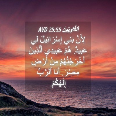 Picture 04 - اَللَّاوِيِّينَ 25:55 AVD - لِأَنَّ بَنِي - Bible Verse Picture