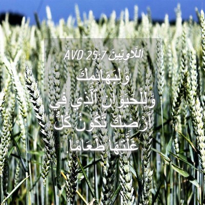 Picture 04 - اَللَّاوِيِّينَ 25:7 AVD - وَلِبَهَائِمِكَ - Bible Verse Picture