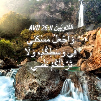 Picture 04 - اَللَّاوِيِّينَ 26:11 AVD - وَأَجْعَلُ مَسْكَنِي فِي - Bible Verse Picture
