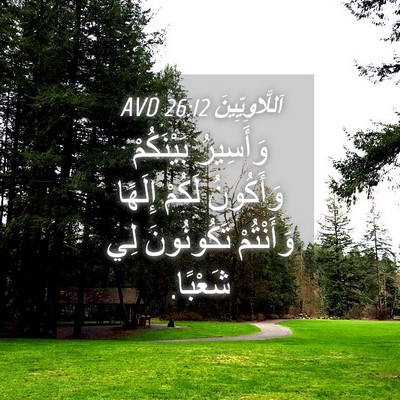 Picture 04 - اَللَّاوِيِّينَ 26:12 AVD - وَأَسِيرُ بَيْنَكُمْ - Bible Verse Picture