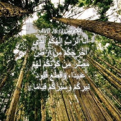 Picture 04 - اَللَّاوِيِّينَ 26:13 AVD - أَنَا ٱلرَّبُّ إِلَهُكُمُ - Bible Verse Picture