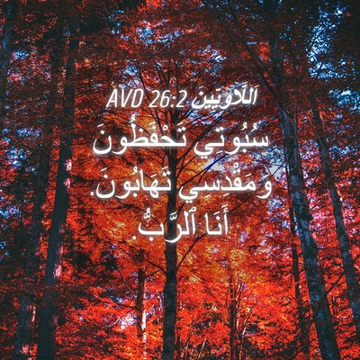 Picture 04 - اَللَّاوِيِّينَ 26:2 AVD - سُبُوتِي تَحْفَظُونَ - Bible Verse Picture