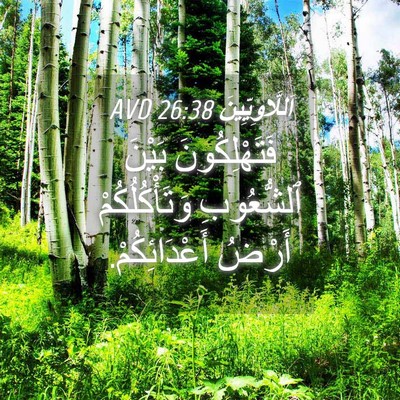 Picture 04 - اَللَّاوِيِّينَ 26:38 AVD - فَتَهْلِكُونَ بَيْنَ - Bible Verse Picture