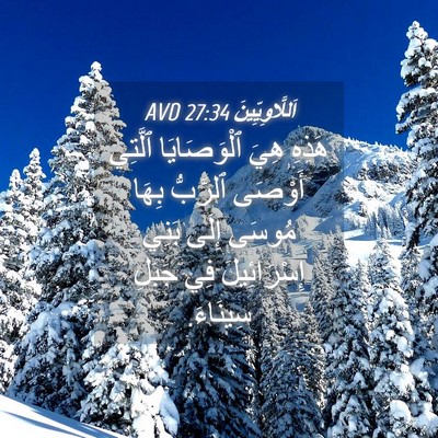 Picture 04 - اَللَّاوِيِّينَ 27:34 AVD - هَذِهِ هِيَ ٱلْوَصَايَا - Bible Verse Picture