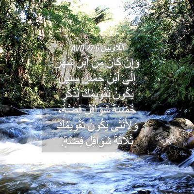 Picture 04 - اَللَّاوِيِّينَ 27:6 AVD - وَإِنْ كَانَ مِنِ ٱبْنِ - Bible Verse Picture