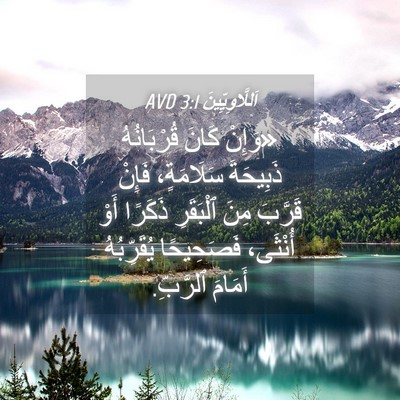 Picture 04 - اَللَّاوِيِّينَ 3:1 AVD - «وَإِنْ كَانَ قُرْبَانُهُ - Bible Verse Picture