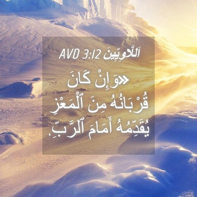 Picture 04 - اَللَّاوِيِّينَ 3:12 AVD - «وَإِنْ كَانَ قُرْبَانُهُ - Bible Verse Picture