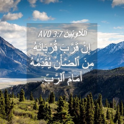 Picture 04 - اَللَّاوِيِّينَ 3:7 AVD - إِنْ قَرَّبَ قُرْبَانَهُ - Bible Verse Picture