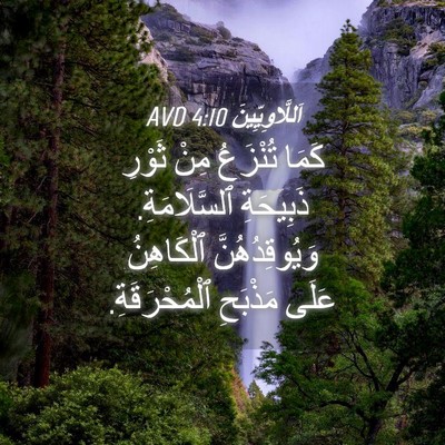 Picture 04 - اَللَّاوِيِّينَ 4:10 AVD - كَمَا تُنْزَعُ مِنْ ثَوْرِ - Bible Verse Picture